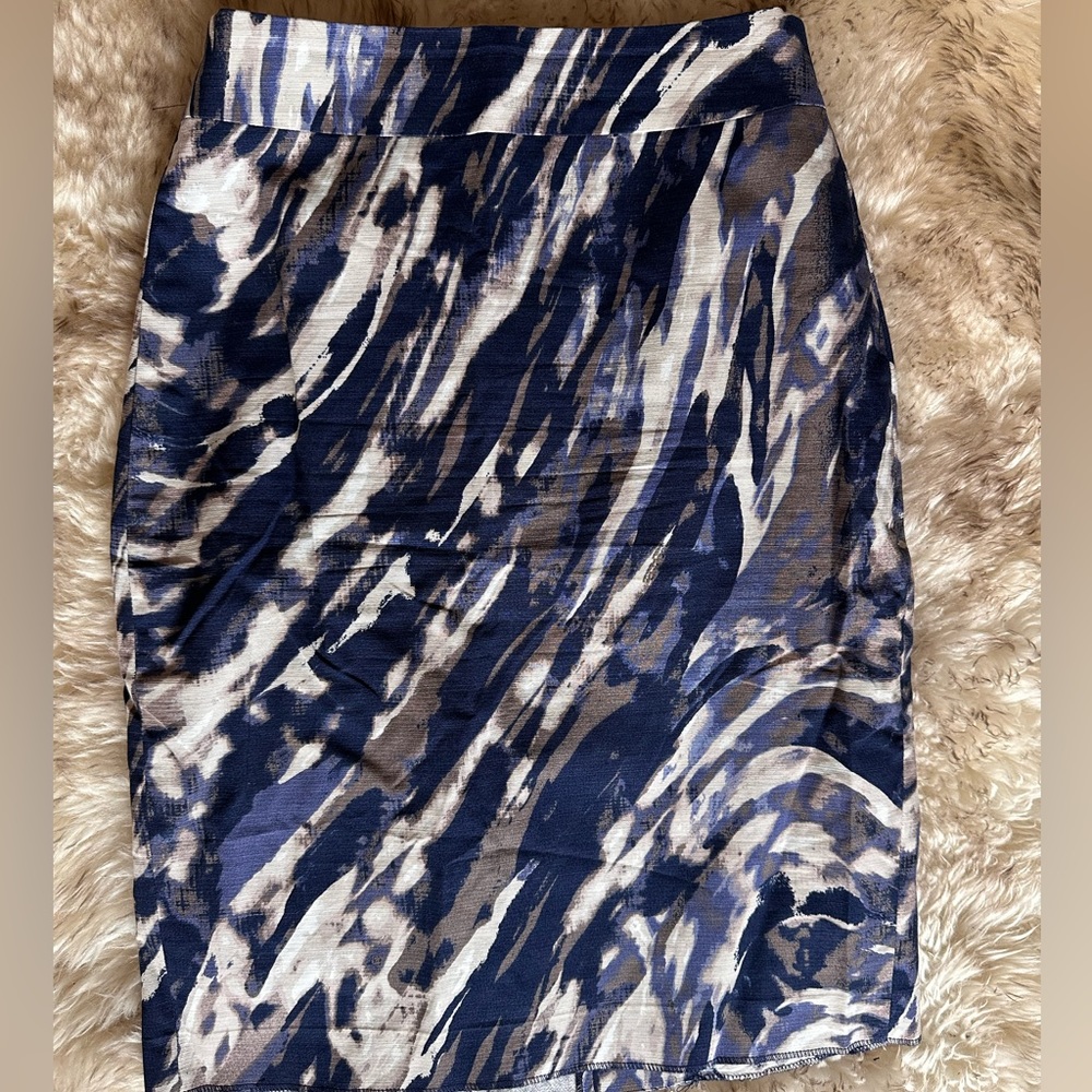 Ann Taylor Pencil Skirt